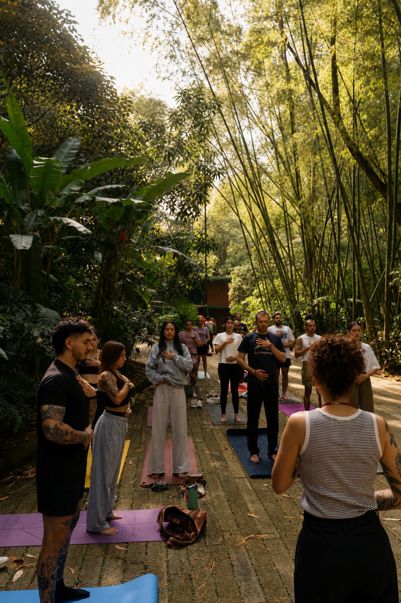 A group practicing standing on mats along a wooden path in a bamboo grove